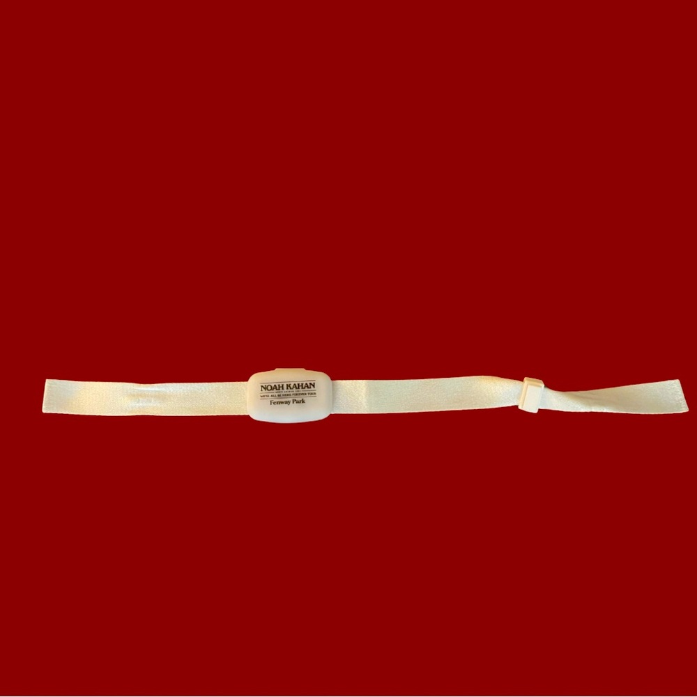 Noah Kahan Boston Fenway Park Concert Wristband We’ll All Be Here forever tour